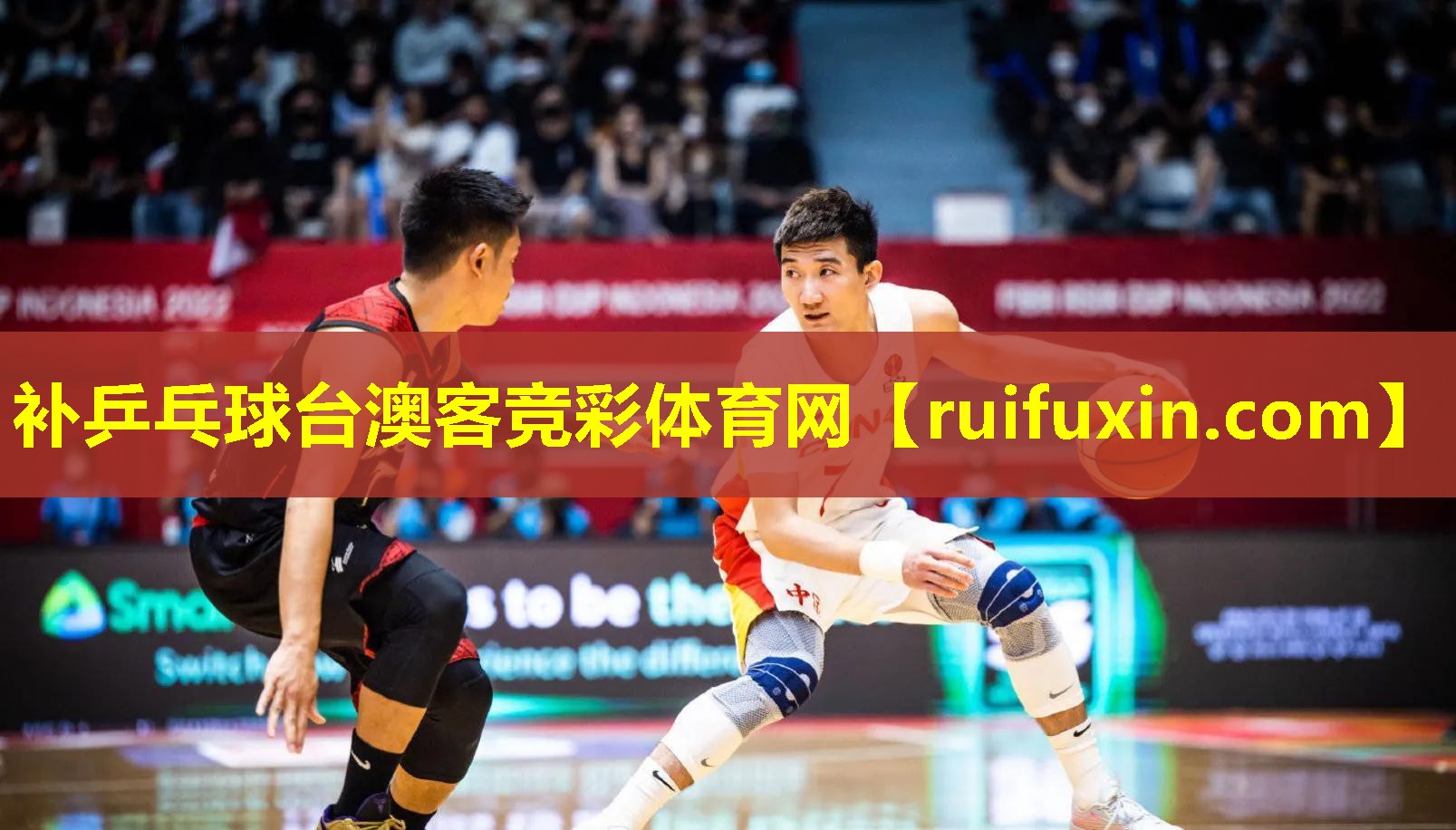 补乒乓球台澳客竞彩体育网