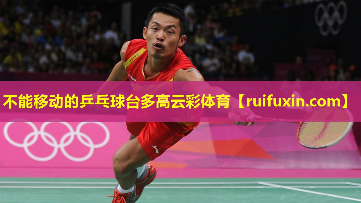 不能移动的乒乓球台多高云彩体育