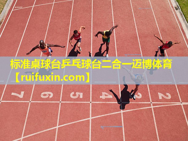 标准桌球台乒乓球台二合一迈博体育