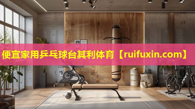 便宜家用乒乓球台其利体育