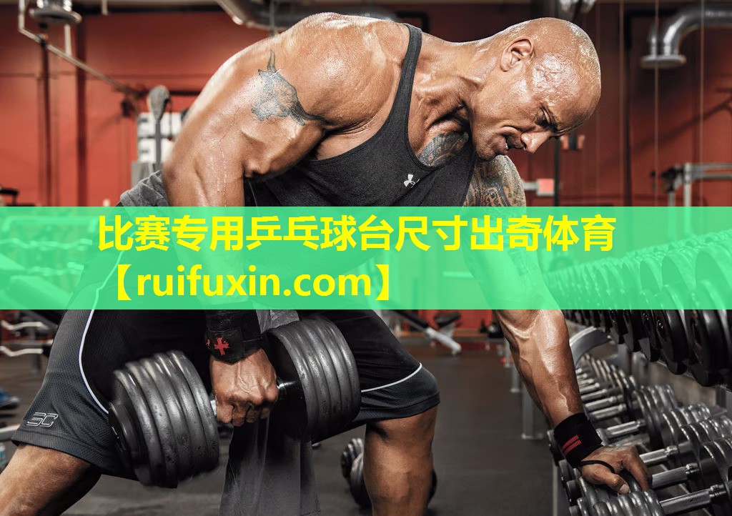 比赛专用乒乓球台尺寸出奇体育