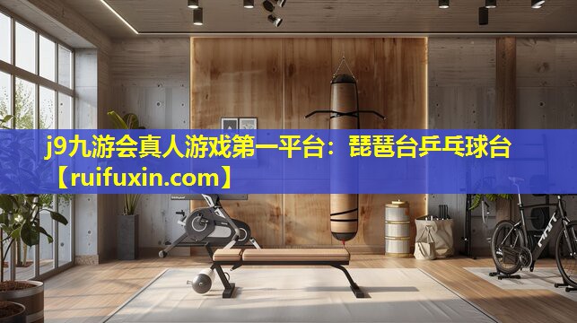 j9九游会真人游戏第一平台：琵琶台乒乓球台