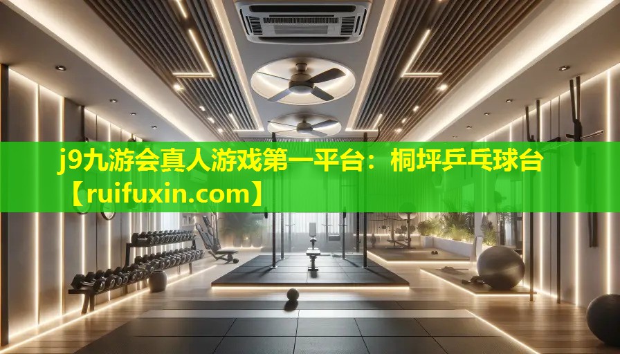 桐坪乒乓球台 桐坪乒乓球台