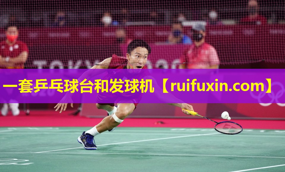 一套乒乓球台和发球机 一套乒乓球台和发球机