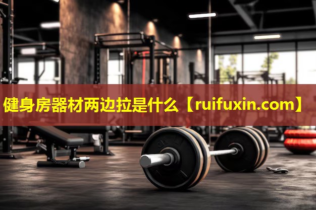 健身房器材两边拉是什么