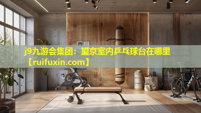 望京室内乒乓球台在哪里 望京室内乒乓球台在哪里