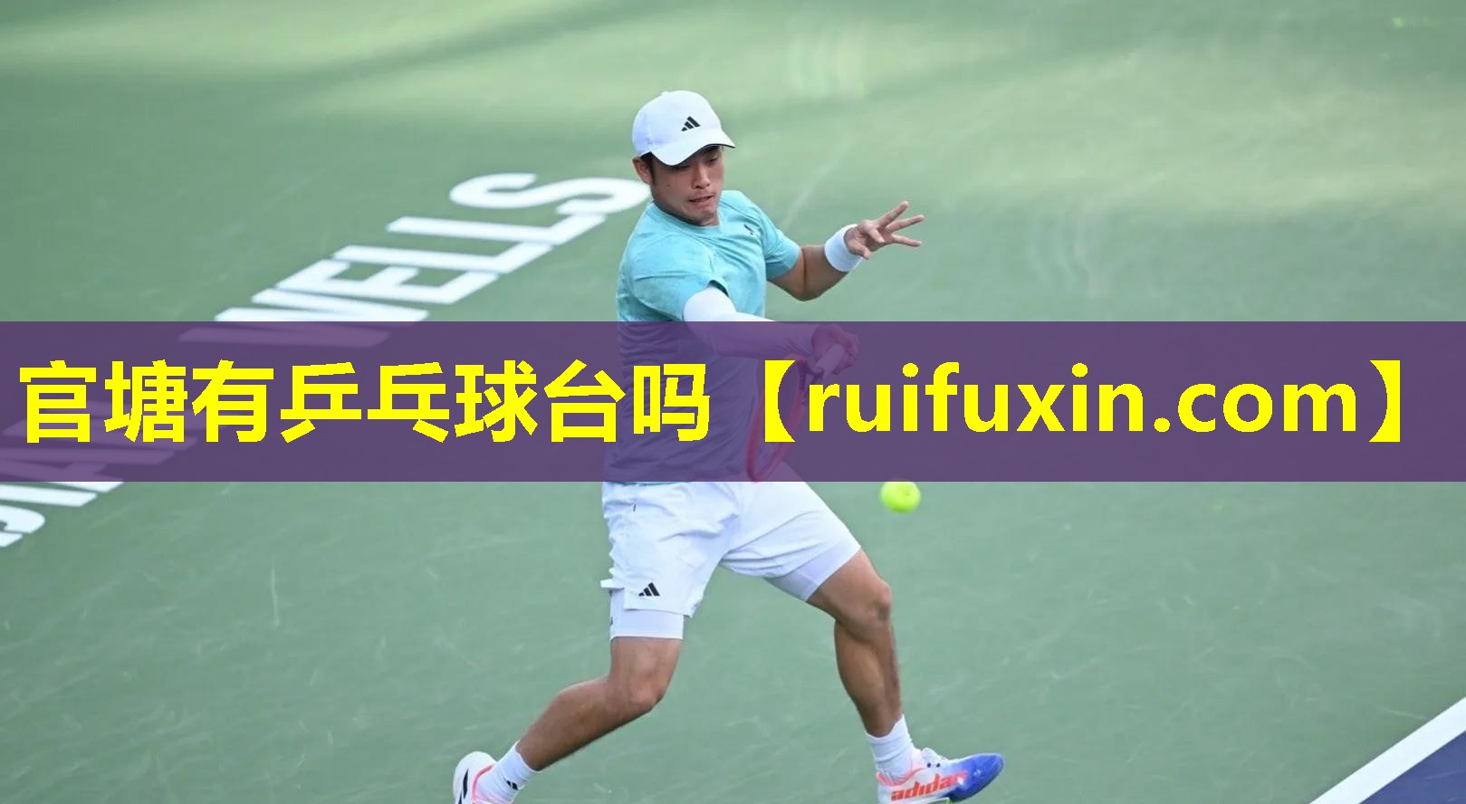 官塘有乒乓球台吗