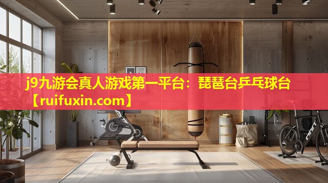 琵琶台乒乓球台