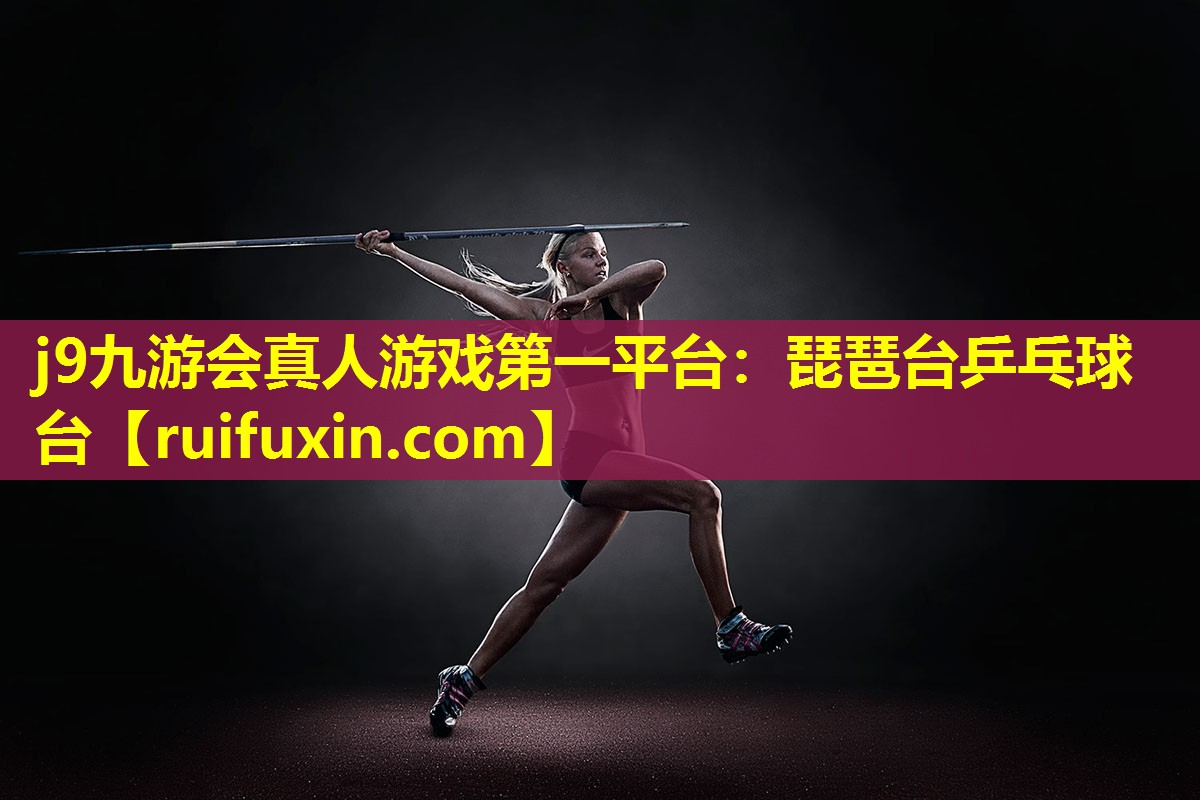 琵琶台乒乓球台
