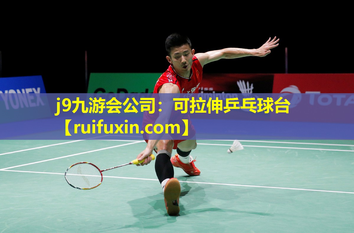 可拉伸乒乓球台